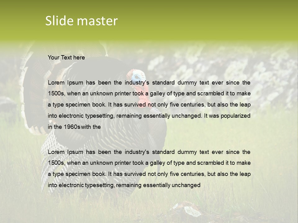 Game Gallopavo Green PowerPoint Template