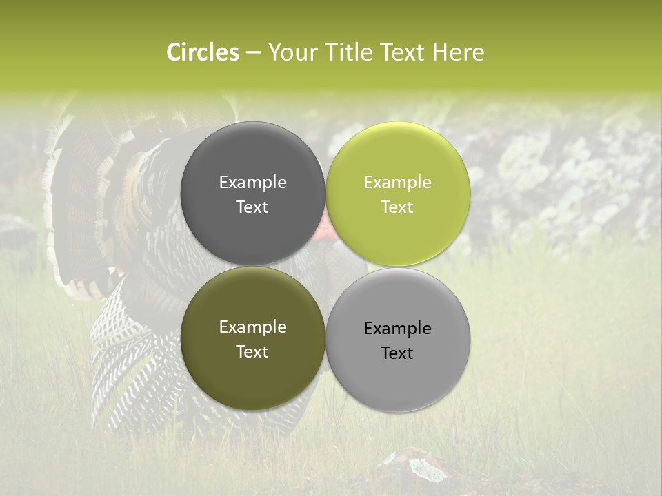 Game Gallopavo Green PowerPoint Template