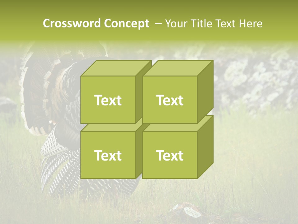 Game Gallopavo Green PowerPoint Template