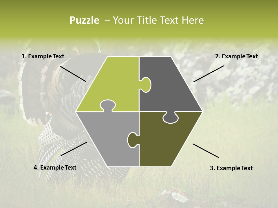 Game Gallopavo Green PowerPoint Template