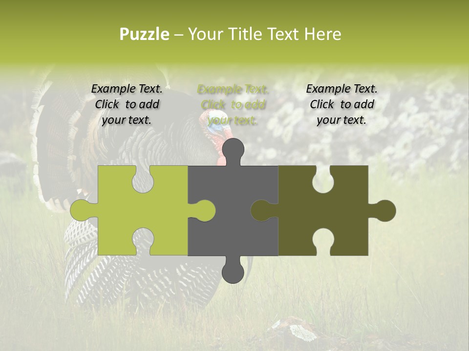 Game Gallopavo Green PowerPoint Template