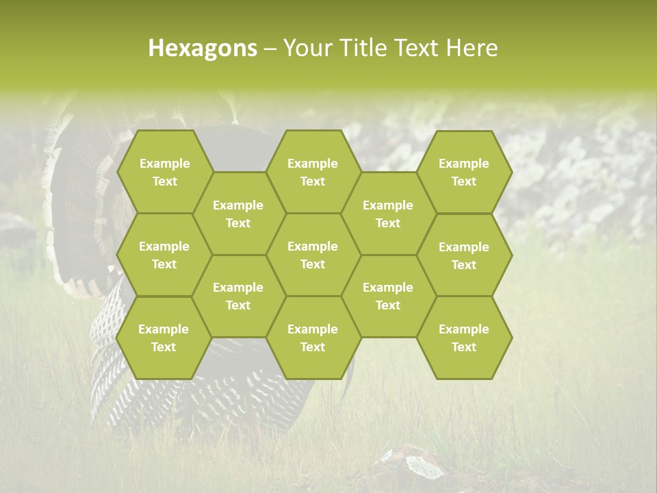 Game Gallopavo Green PowerPoint Template