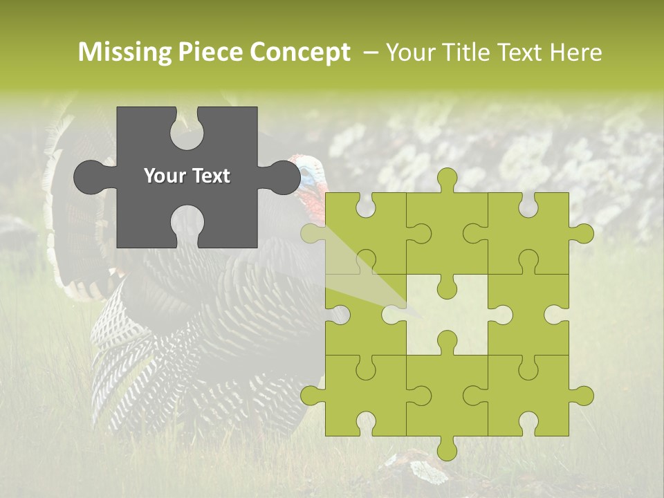 Game Gallopavo Green PowerPoint Template
