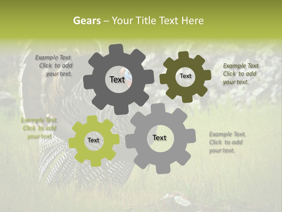 Game Gallopavo Green PowerPoint Template