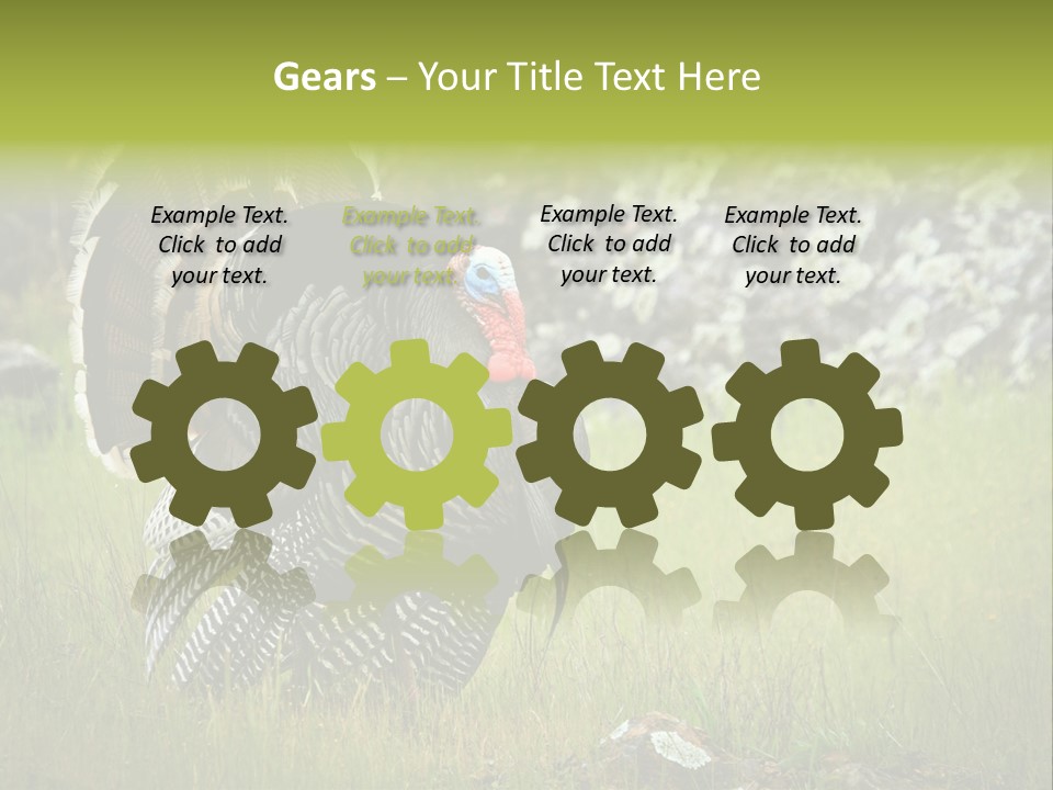 Game Gallopavo Green PowerPoint Template