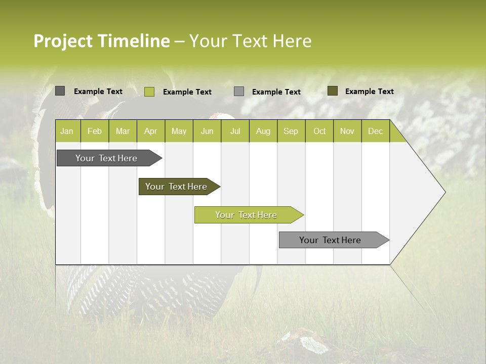 Game Gallopavo Green PowerPoint Template