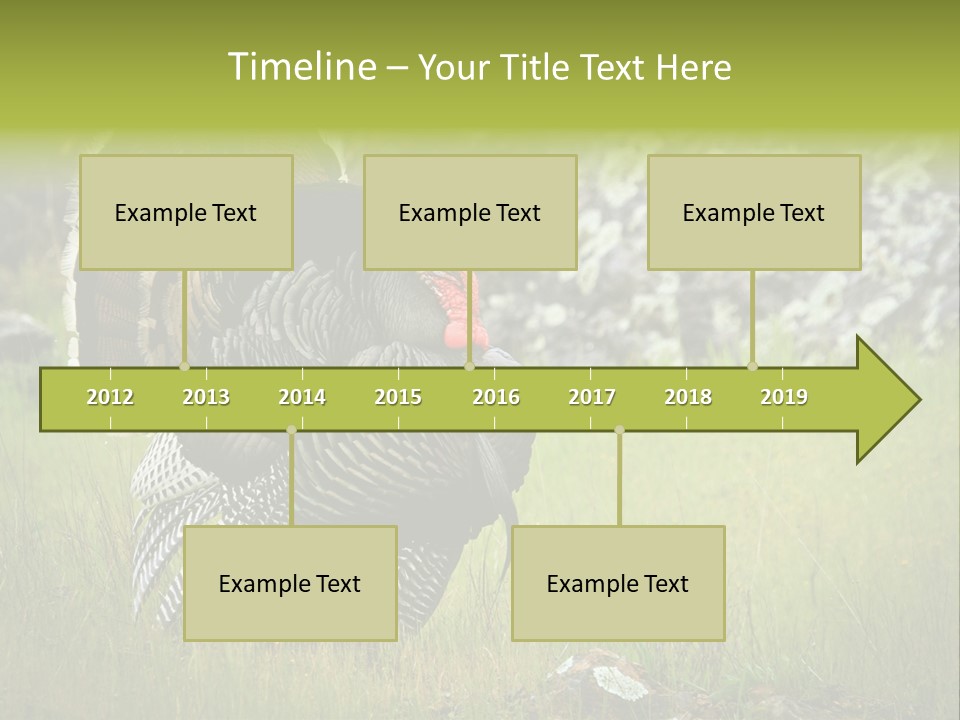 Game Gallopavo Green PowerPoint Template