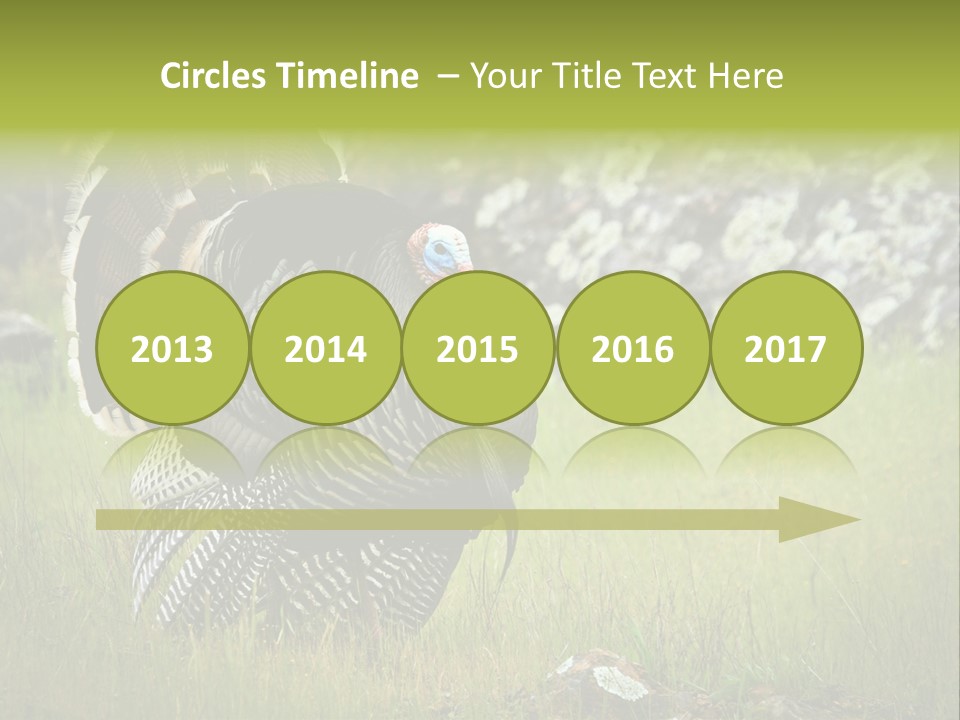 Game Gallopavo Green PowerPoint Template