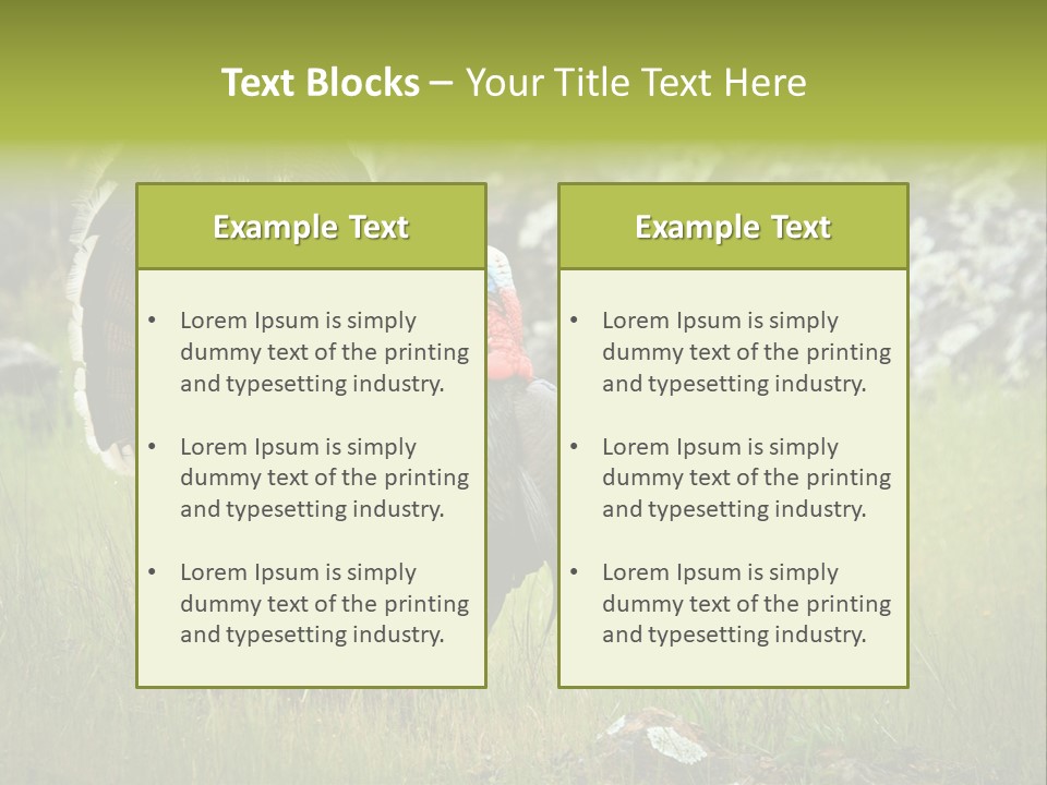 Game Gallopavo Green PowerPoint Template