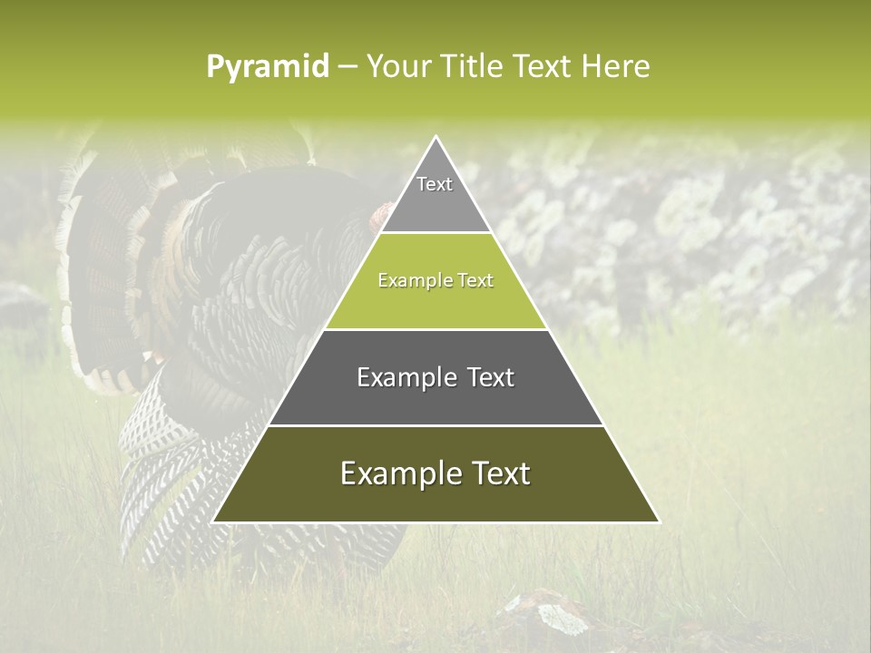 Game Gallopavo Green PowerPoint Template