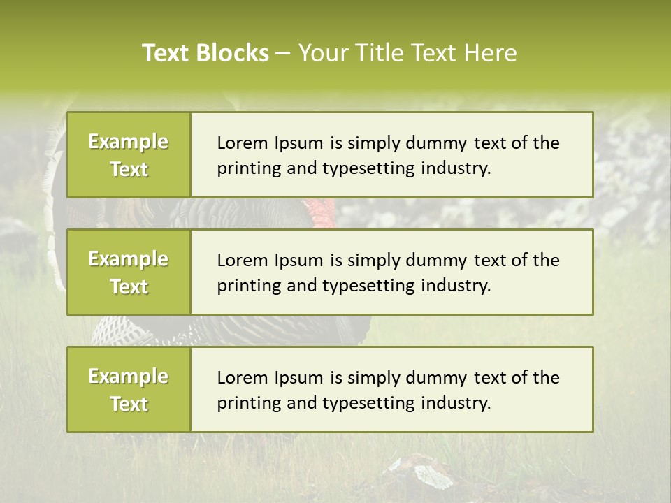 Game Gallopavo Green PowerPoint Template