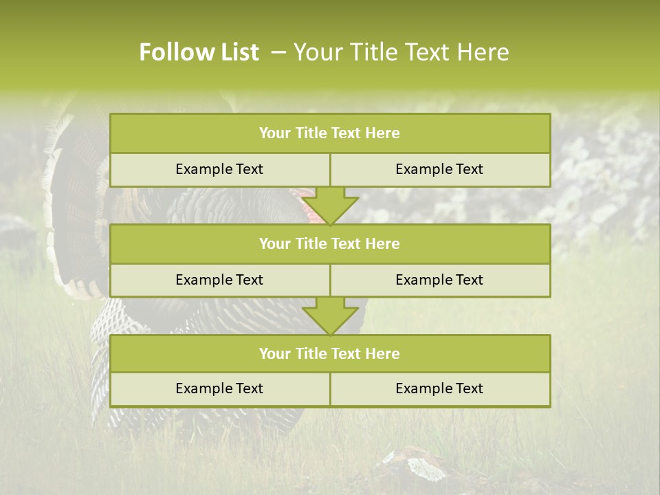 Game Gallopavo Green PowerPoint Template