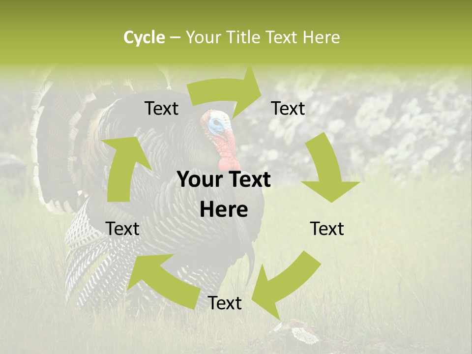 Game Gallopavo Green PowerPoint Template