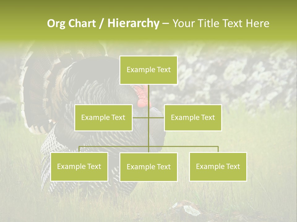 Game Gallopavo Green PowerPoint Template