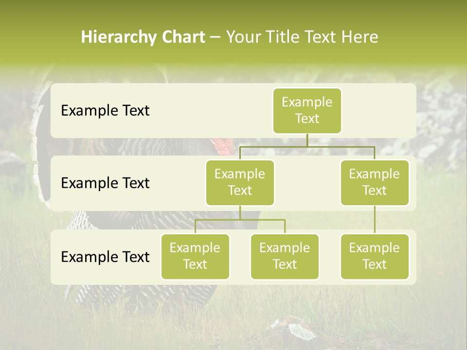 Game Gallopavo Green PowerPoint Template