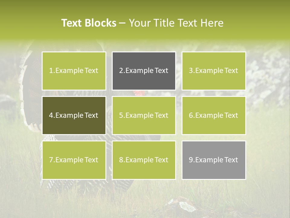 Game Gallopavo Green PowerPoint Template