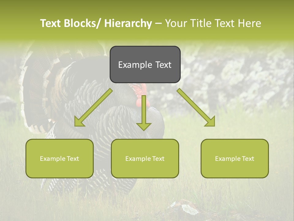 Game Gallopavo Green PowerPoint Template