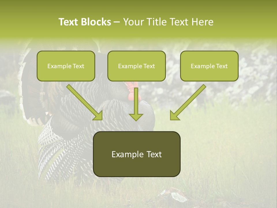 Game Gallopavo Green PowerPoint Template
