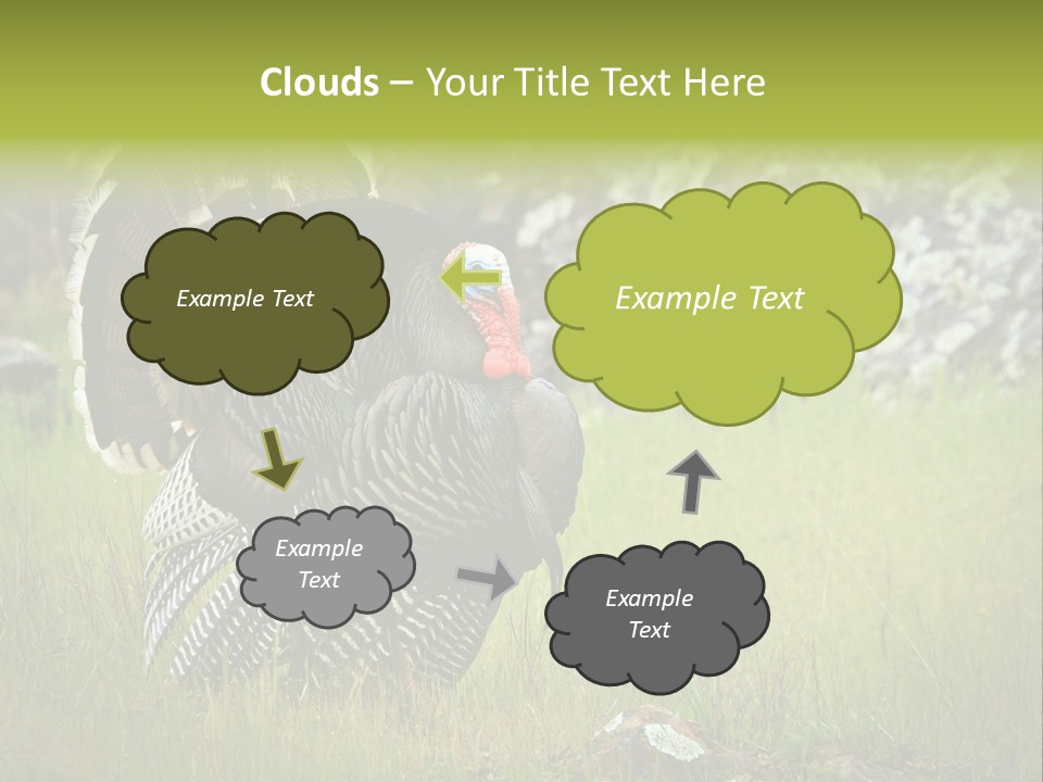 Game Gallopavo Green PowerPoint Template