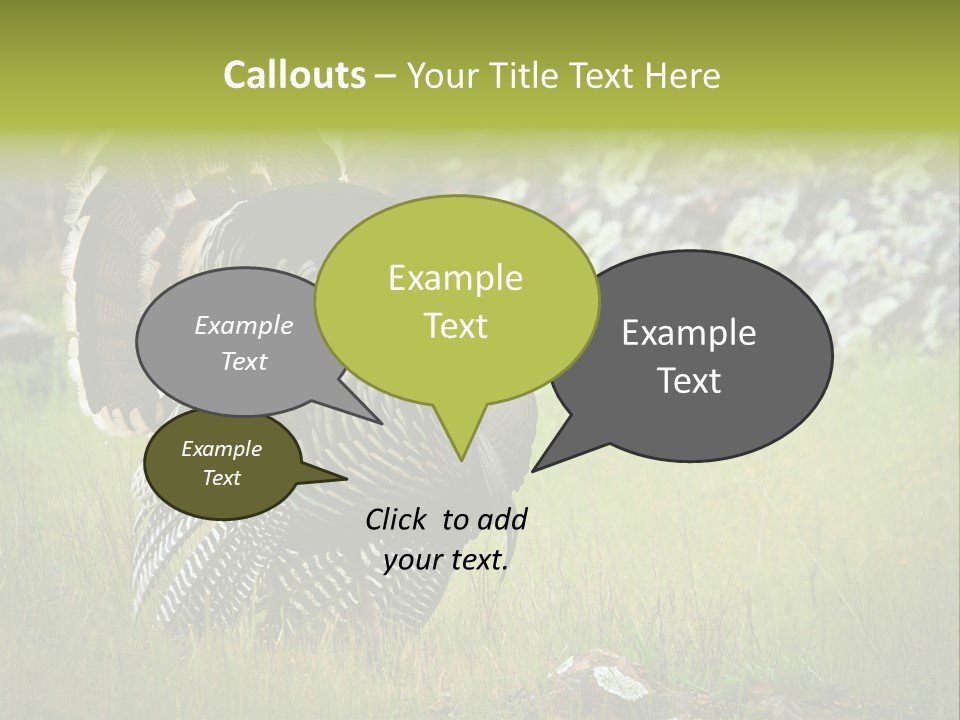 Game Gallopavo Green PowerPoint Template