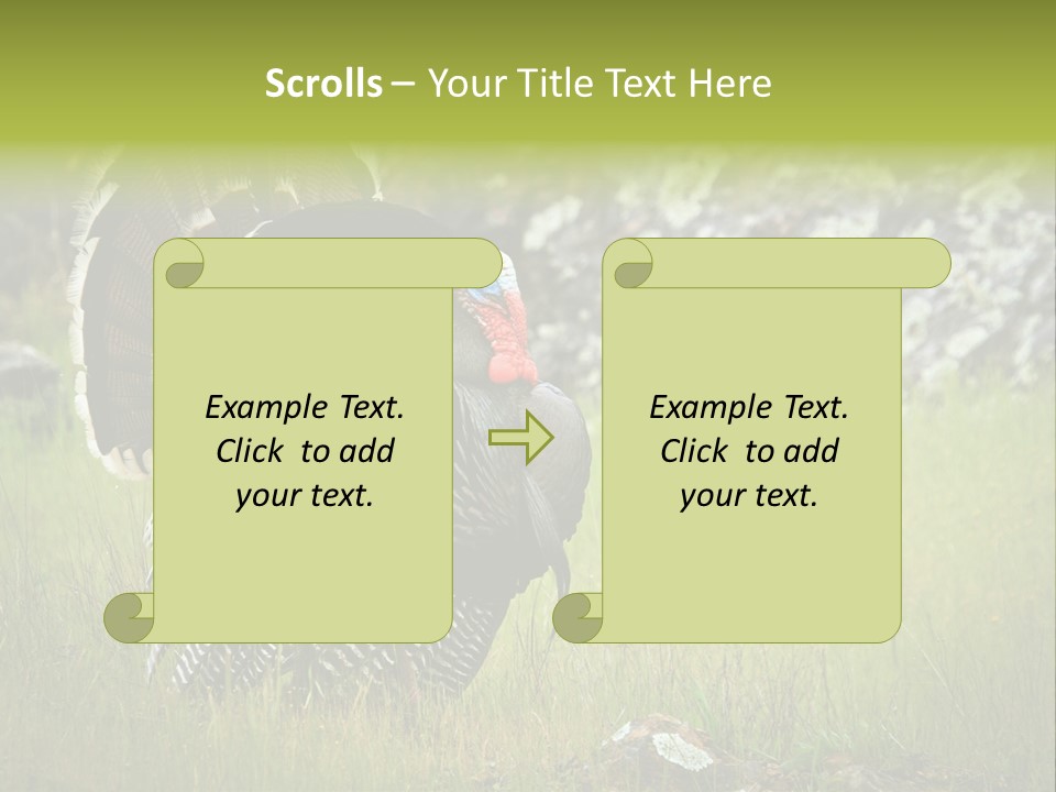 Game Gallopavo Green PowerPoint Template