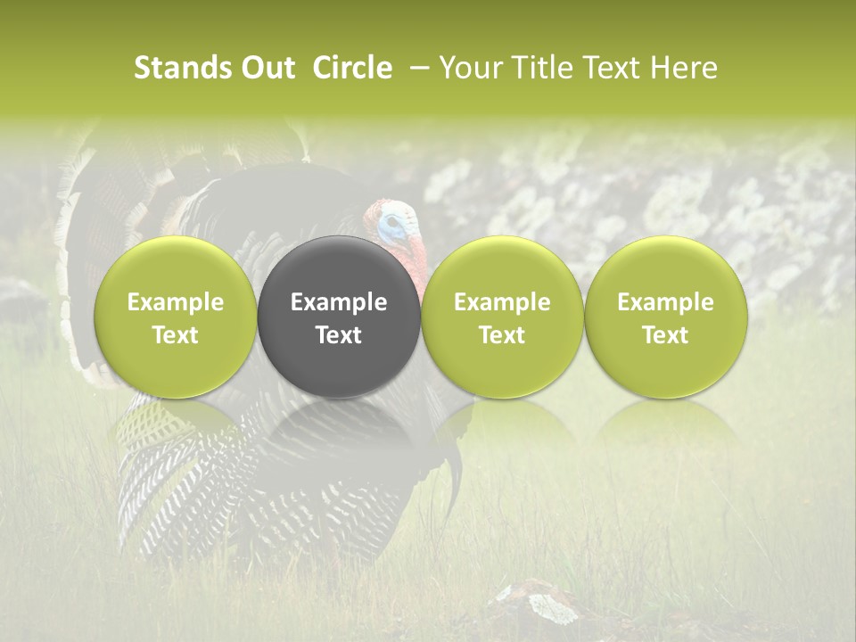 Game Gallopavo Green PowerPoint Template