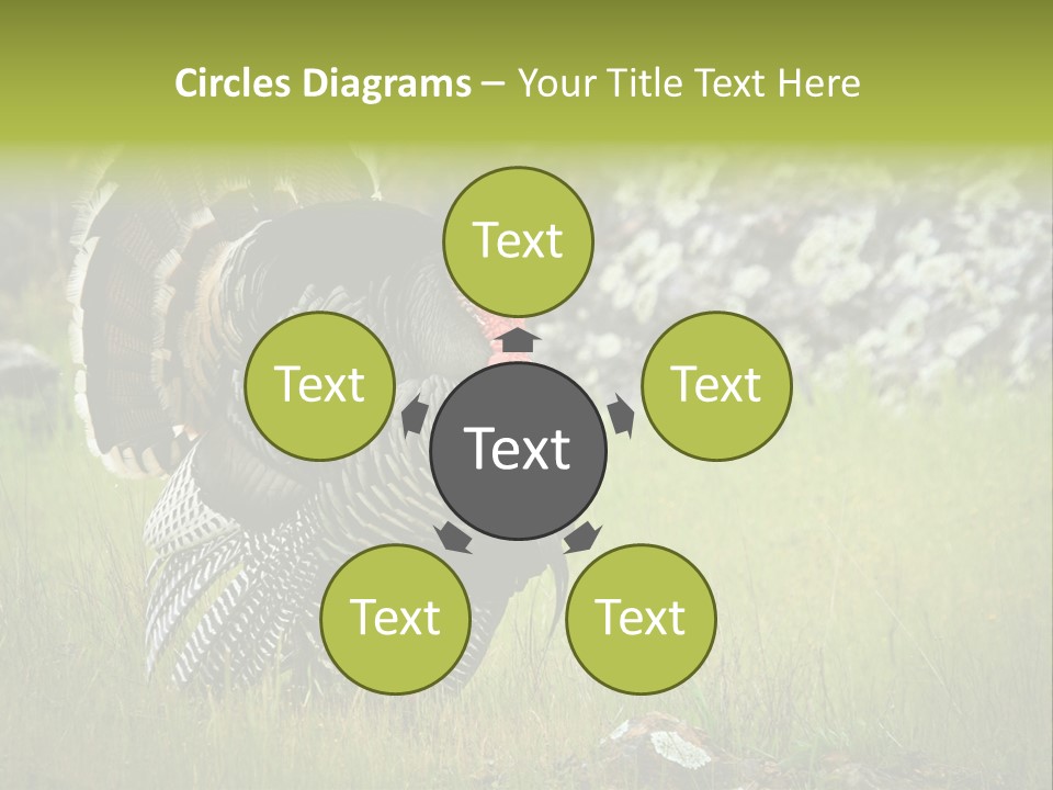 Game Gallopavo Green PowerPoint Template