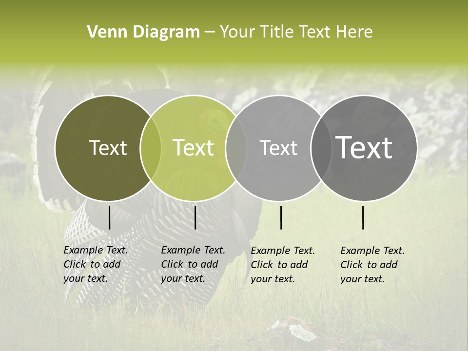 Game Gallopavo Green PowerPoint Template