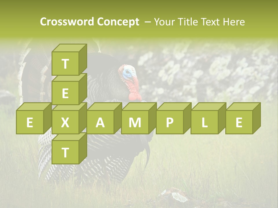 Game Gallopavo Green PowerPoint Template