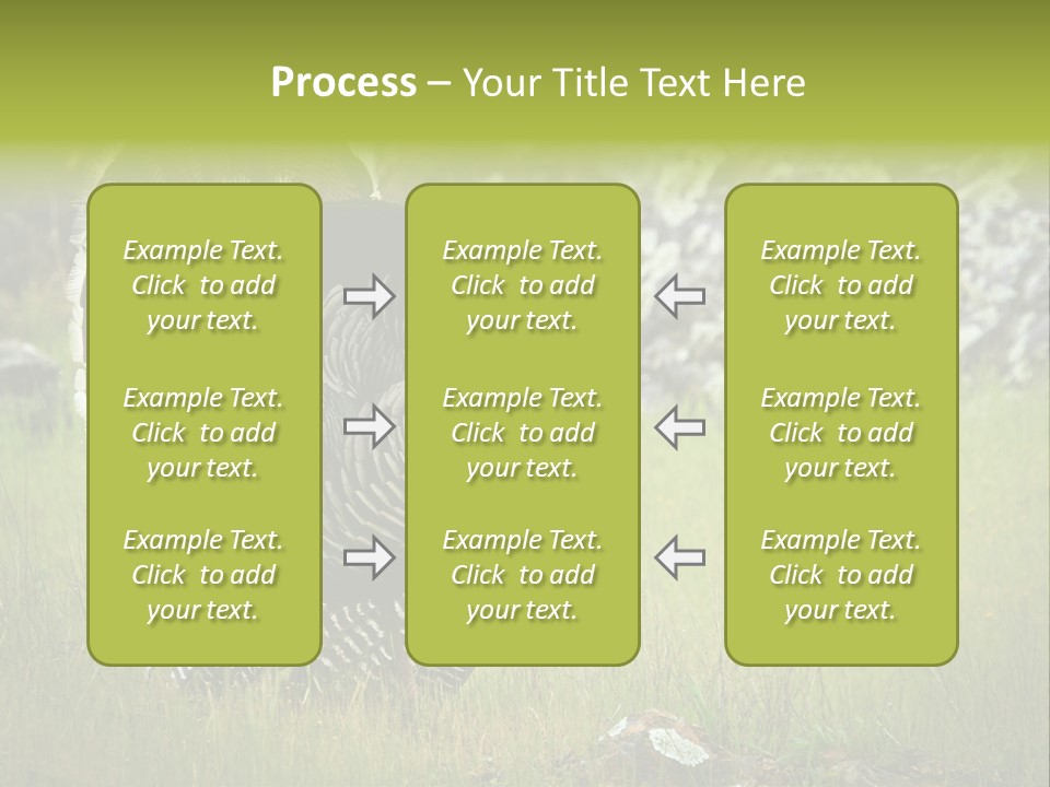 Game Gallopavo Green PowerPoint Template