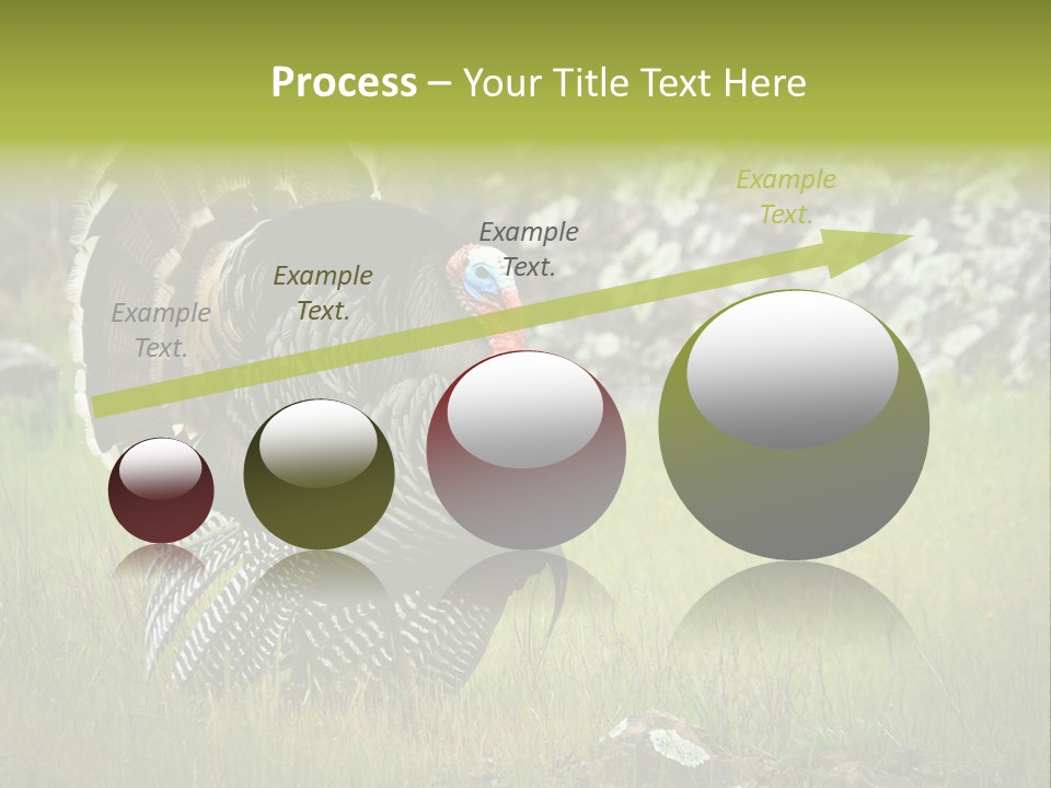 Game Gallopavo Green PowerPoint Template