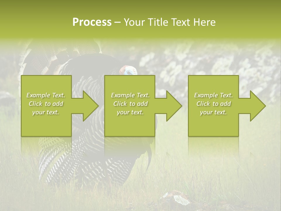 Game Gallopavo Green PowerPoint Template