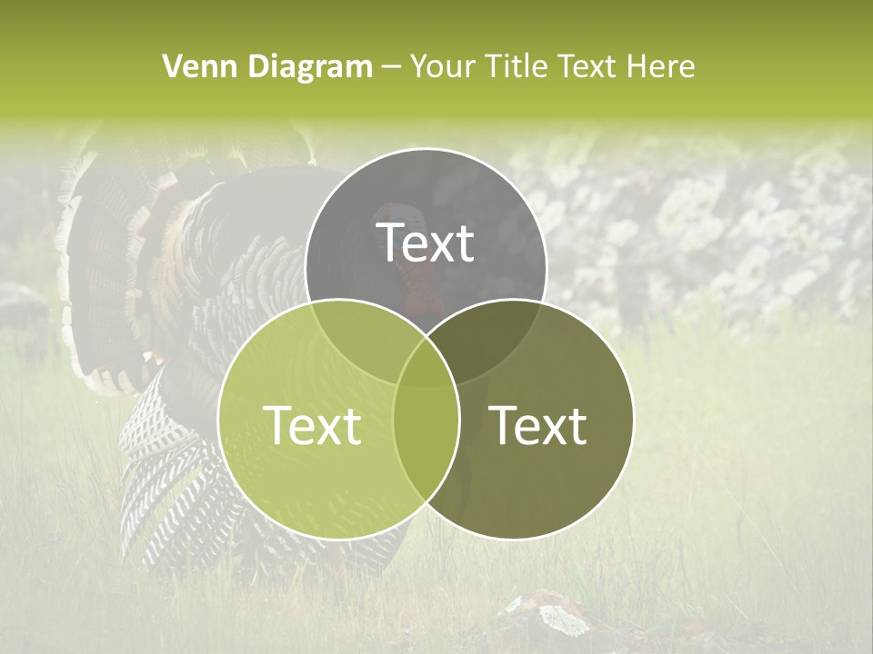 Game Gallopavo Green PowerPoint Template