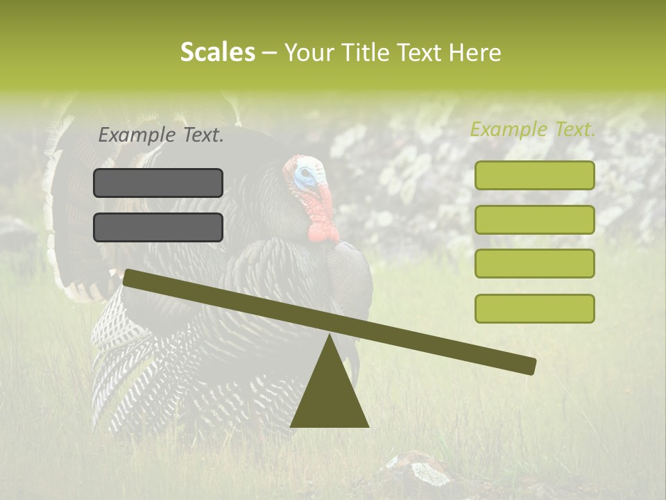 Game Gallopavo Green PowerPoint Template