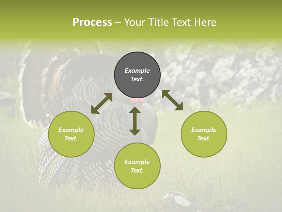 Game Gallopavo Green PowerPoint Template