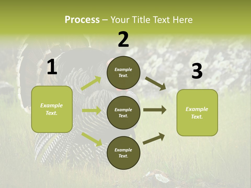 Game Gallopavo Green PowerPoint Template