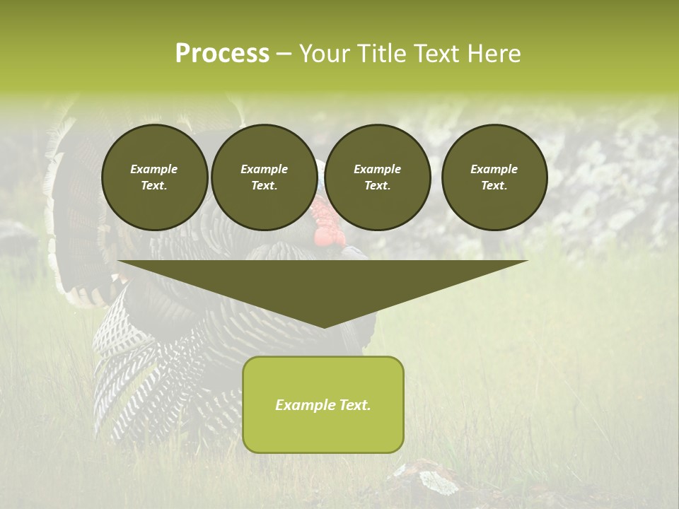 Game Gallopavo Green PowerPoint Template