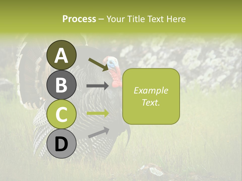 Game Gallopavo Green PowerPoint Template