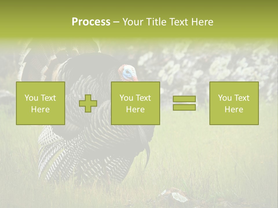 Game Gallopavo Green PowerPoint Template