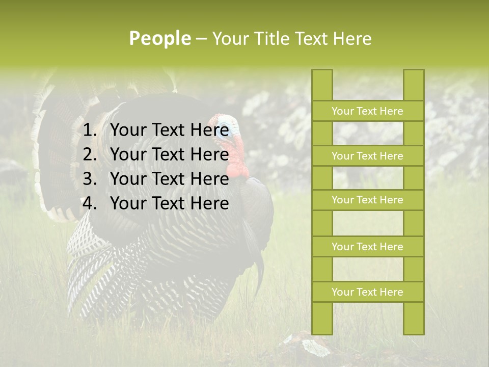 Game Gallopavo Green PowerPoint Template