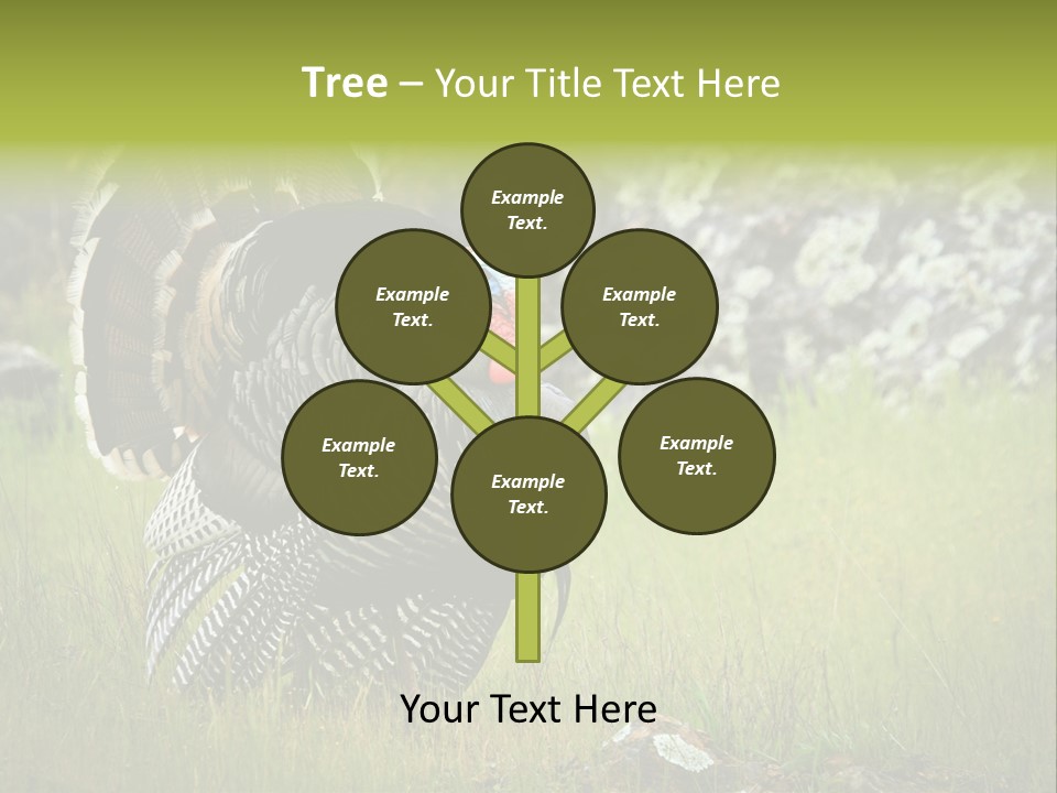 Game Gallopavo Green PowerPoint Template