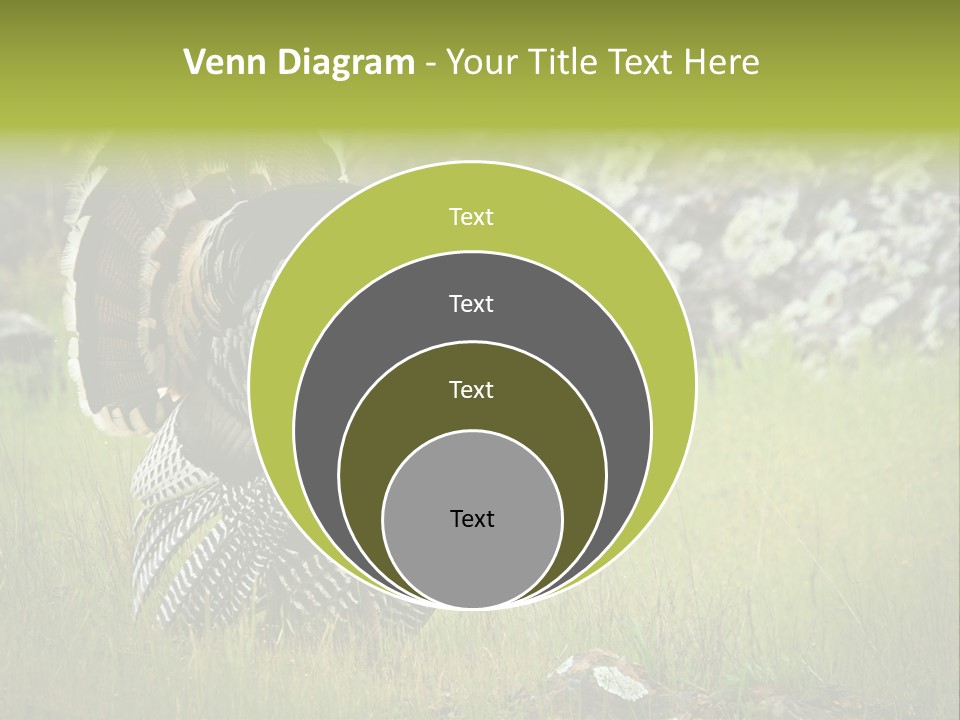 Game Gallopavo Green PowerPoint Template