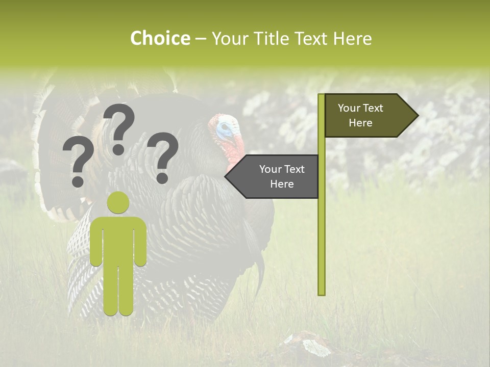 Game Gallopavo Green PowerPoint Template