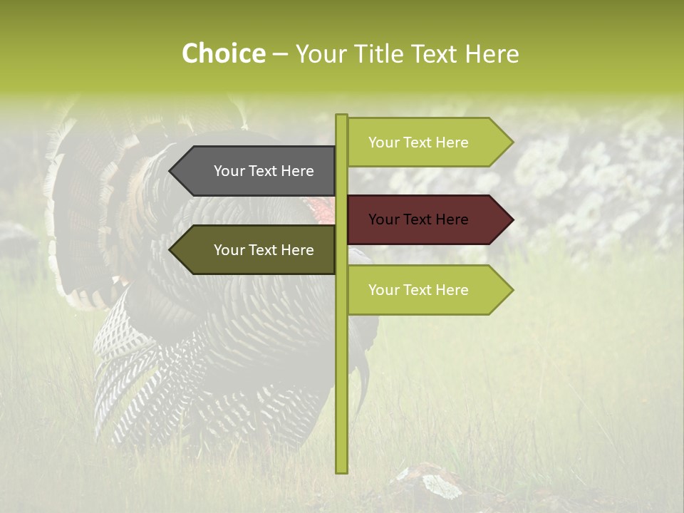 Game Gallopavo Green PowerPoint Template