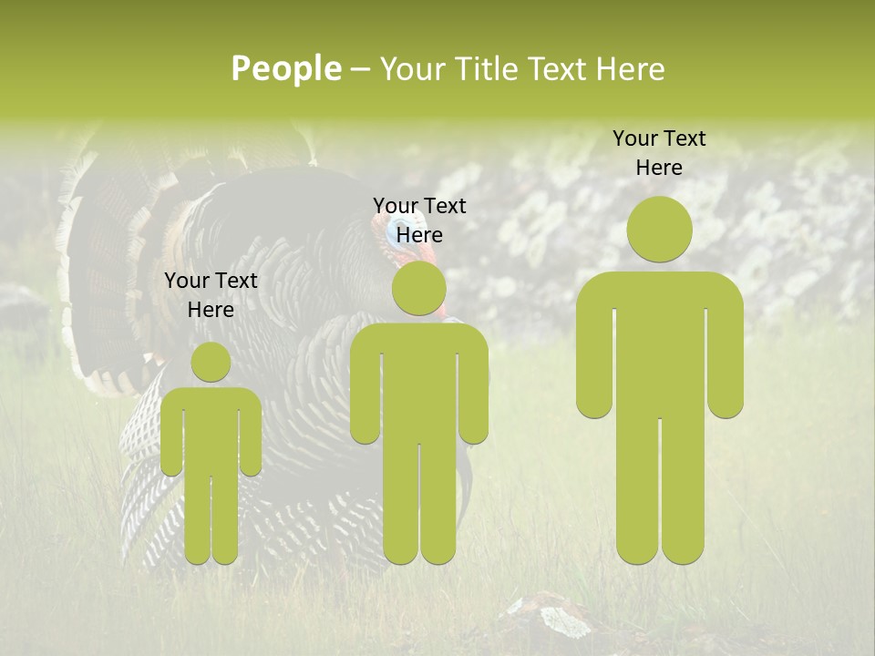 Game Gallopavo Green PowerPoint Template