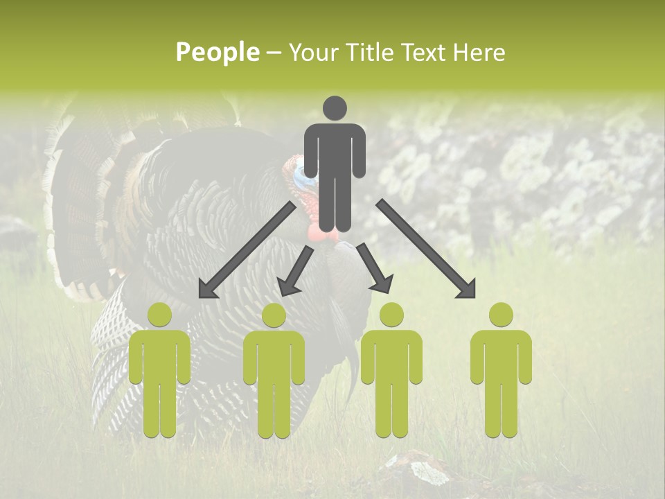 Game Gallopavo Green PowerPoint Template