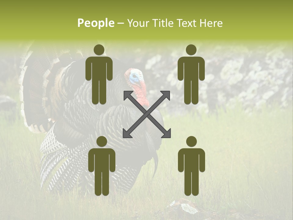 Game Gallopavo Green PowerPoint Template