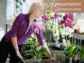 Houseplant Female Orchid PowerPoint Template