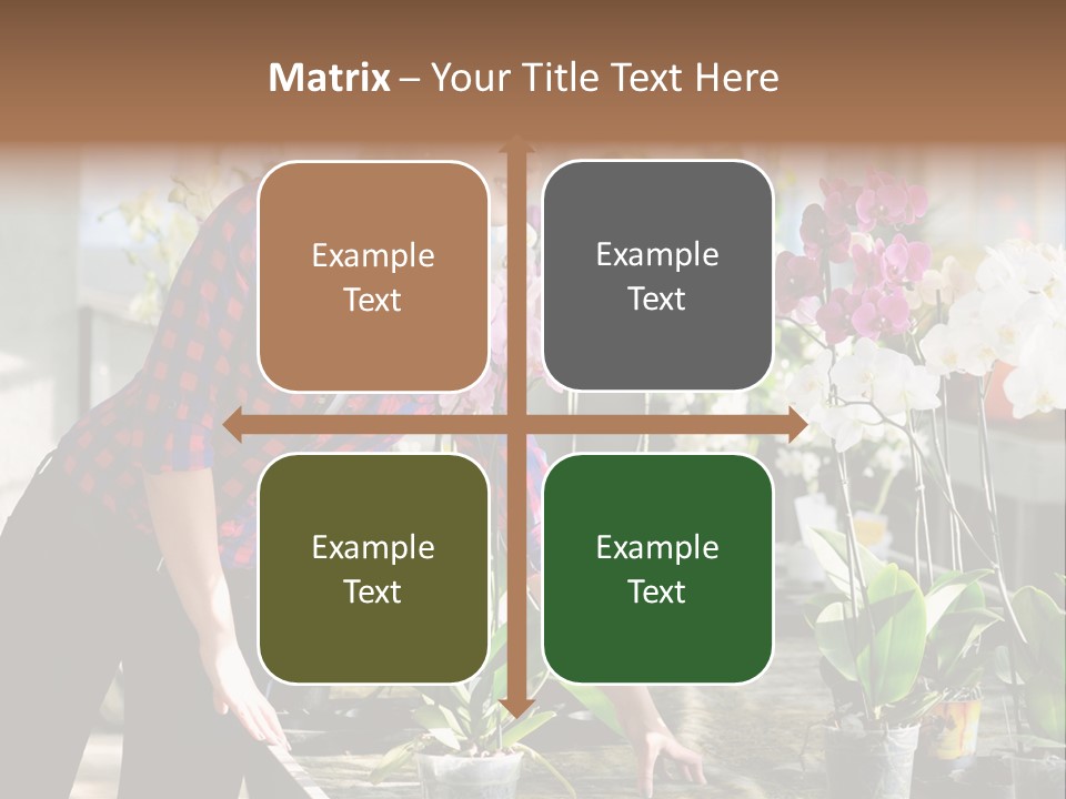 Houseplant Female Orchid PowerPoint Template