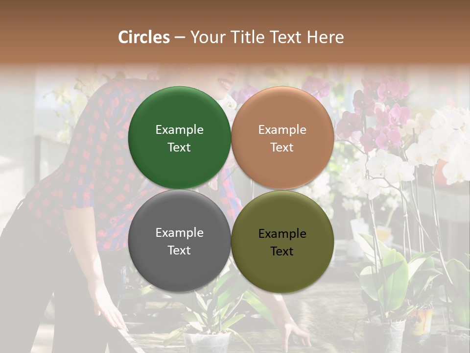 Houseplant Female Orchid PowerPoint Template